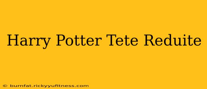 Harry Potter Tete Reduite
