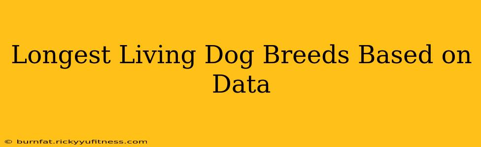 Longest Living Dog Breeds Based on Data