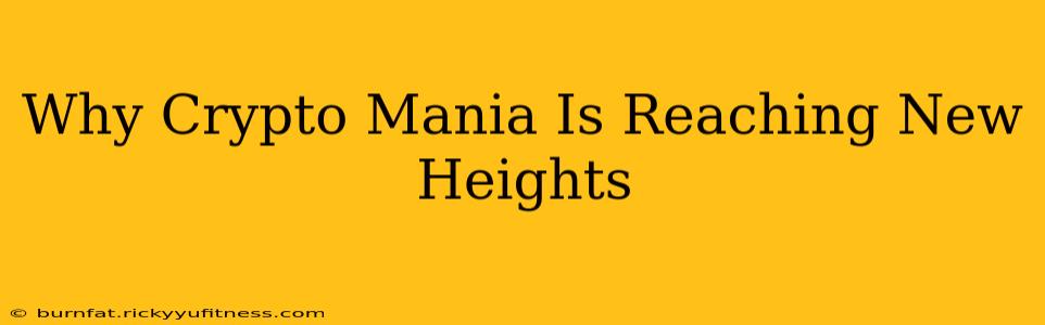 Why Crypto Mania Is Reaching New Heights